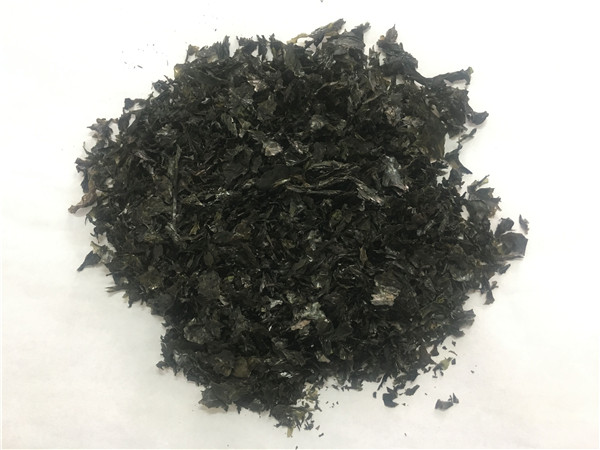 生壇紫菜顆粒